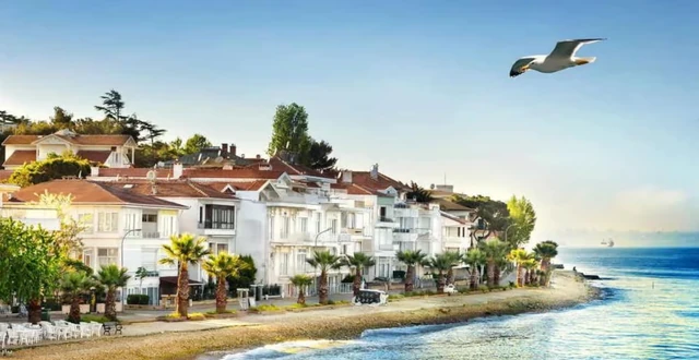 Desde Estambul: Tour Guiado por las Islas Príncipe vista previa 2