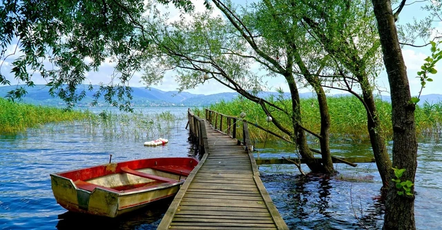 Excursión de un Día a Sapanca y Maşukiye desde Estambul vista previa 1