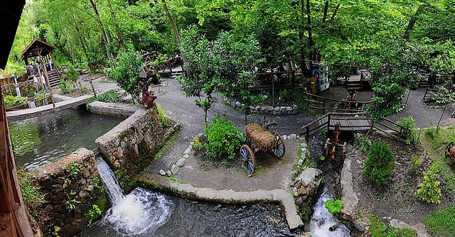 Excursión de un Día a Sapanca y Maşukiye desde Estambul vista previa 5